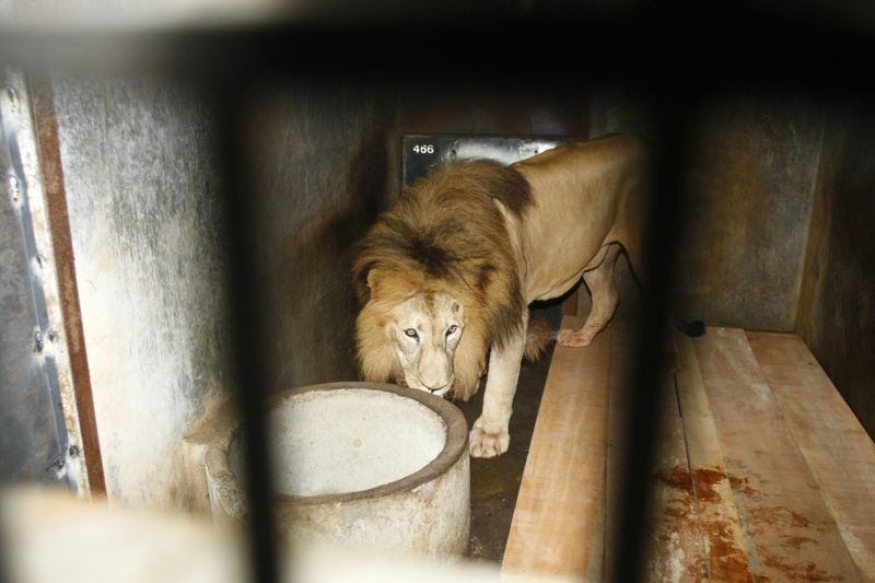 | André Rodrigues/ Gazeta do Povo