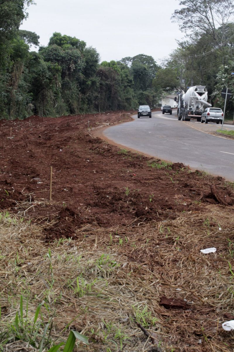 Árvores foram retiradas para a duplicação de avenidas | Walter Fernandes/Gazeta do Povo
