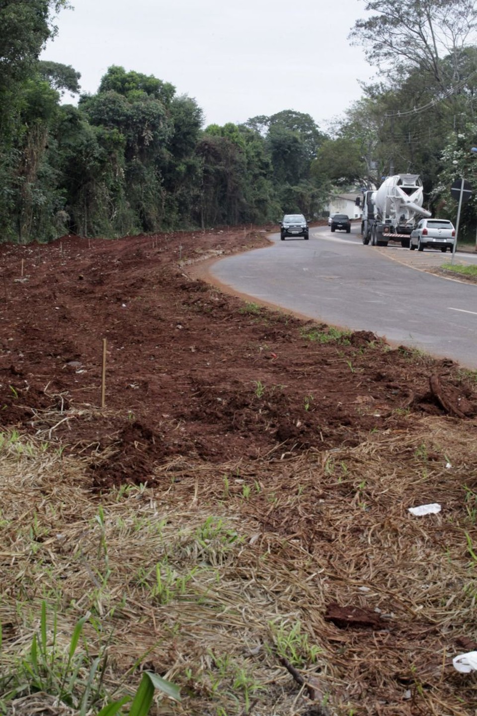 MP denuncia o prefeito de Maringá por dano ambiental Árvores foram retiradas para a duplicação de avenidas | Walter Fernandes/Gazeta do Povo