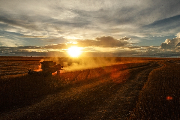 | Daniel Castellano/gazeta Do Povo