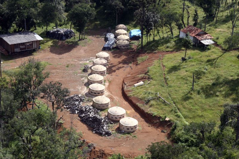 Trabalho escravo associado à produção de carvão está entre os motivos para o desflorestamento | Henry Milleo/ Gazeta do Povo