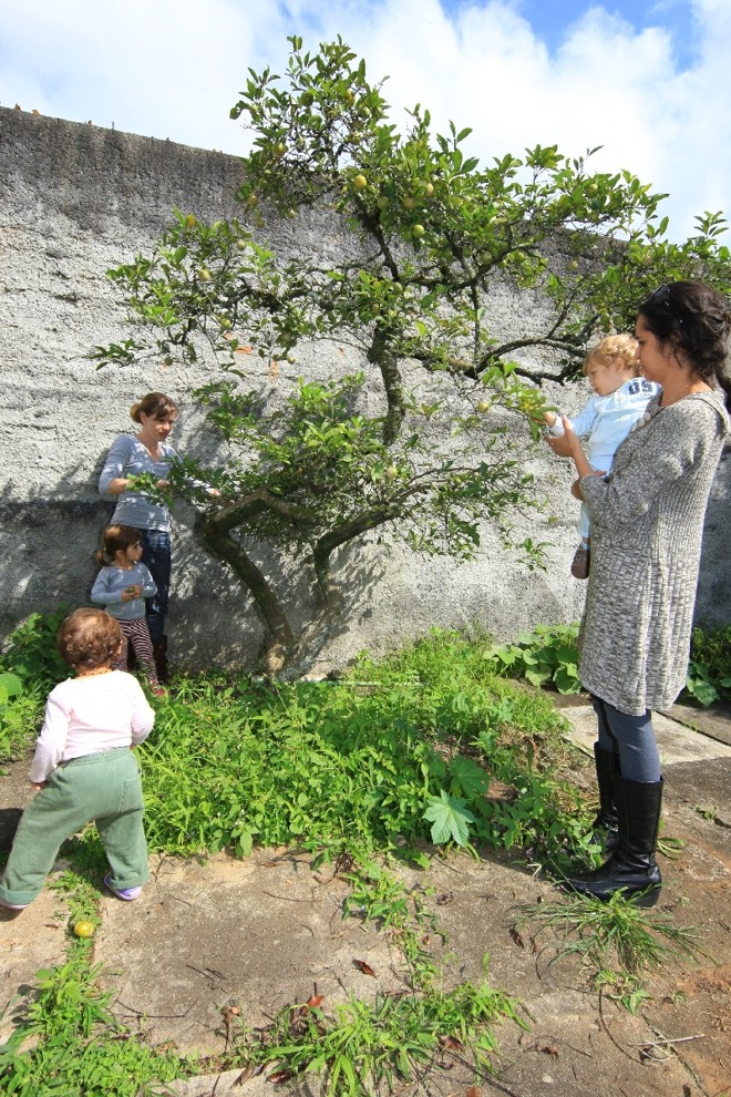 Cooperativa incentiva interação entre as crianças e a natureza |