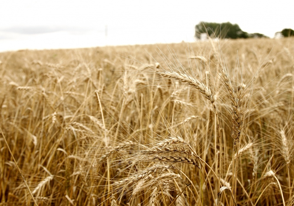 | Hugo Harada / Gazeta Do Povo