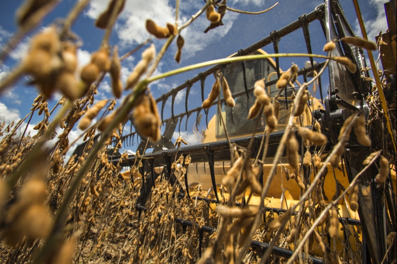 Mais de 17 milhões de toneladas foram exportadas desde o início do ano | Marcelo Andrade / Gazeta do Povo