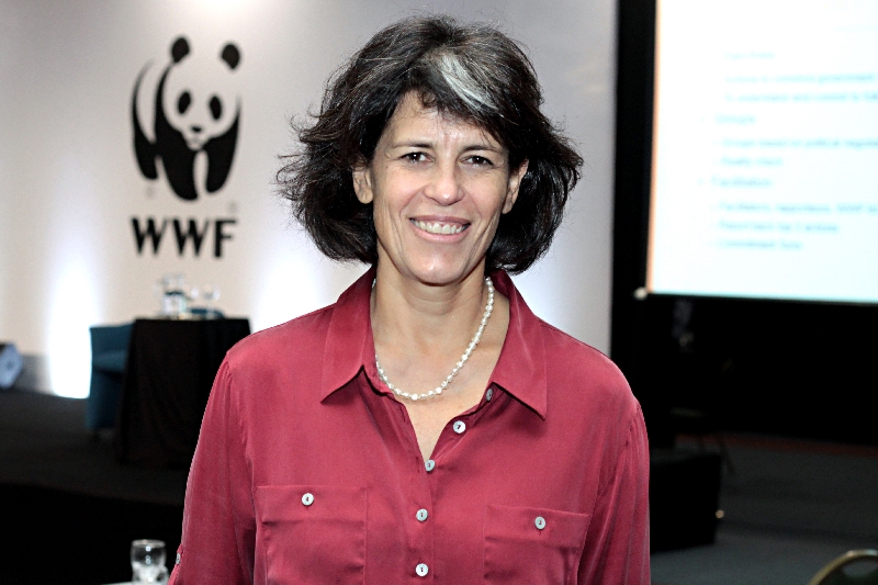 | Kiko Sierich/Gazeta do Povo