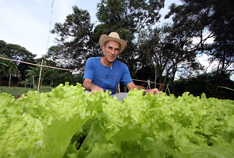 Valmir Anderle trocou a agricultura à base de agrotóxicos pela orgânica e não se arrepende: Não queria aquilo mais para mim. | Christian Rizzi/ Gazeta do Povo