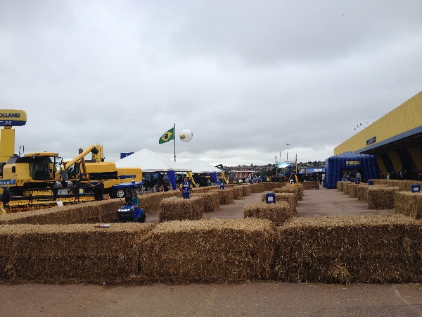 Concessionária vendeu em duas semanas o equivalente a três meses de negócios | Giovani Ferreira/gazeta Do Povo