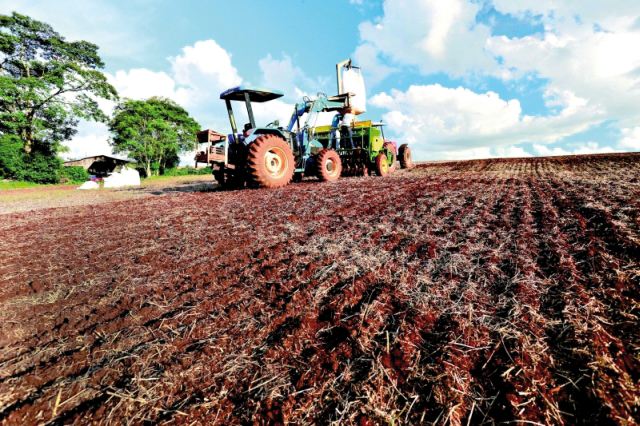 Mesmo com queda nos preços dos grãos, estratégia dos agricultores é plantar soja antecipada para aproveitar janela do milho no inverno. | Cesar Machado/gazeta Do Povo