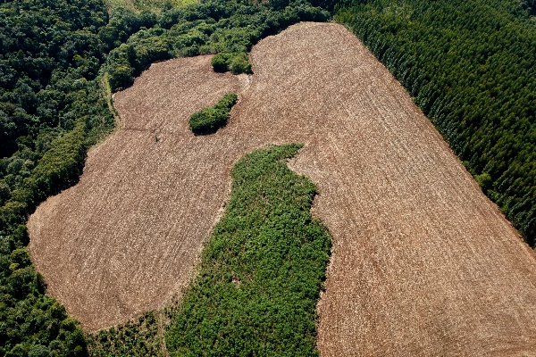 | Henry Milla©o/ Gazeta Do Povo