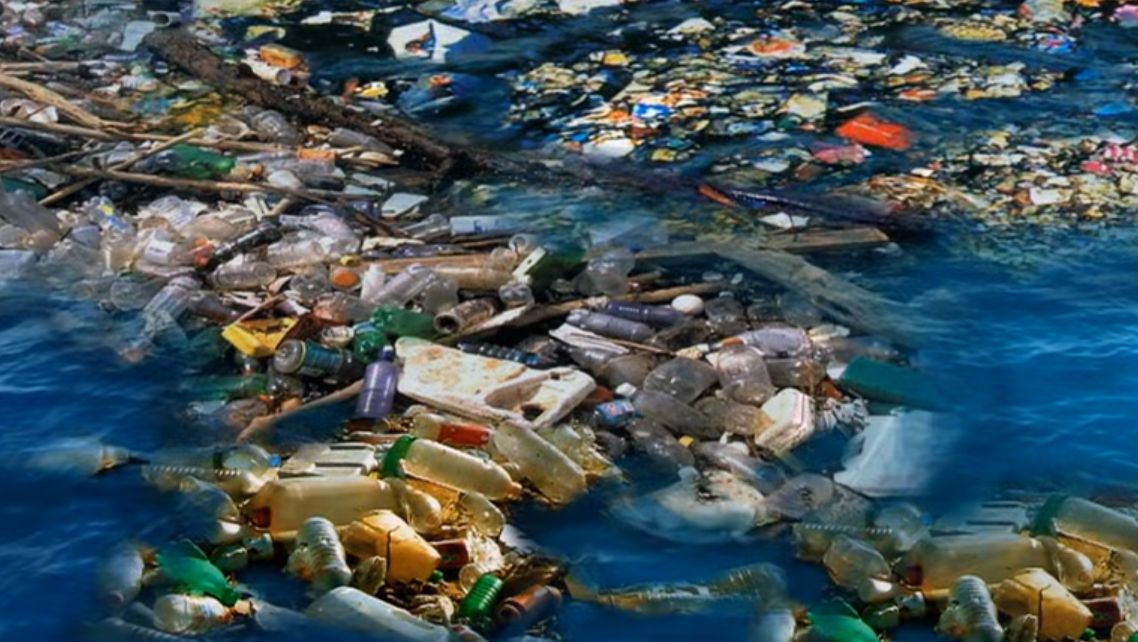 | Reprodução /YouTube