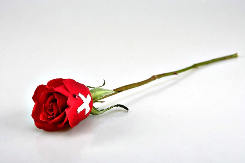 O inimigo da mulher permanece entre quatro paredes | Jonathan Campos / Gazeta do Povo