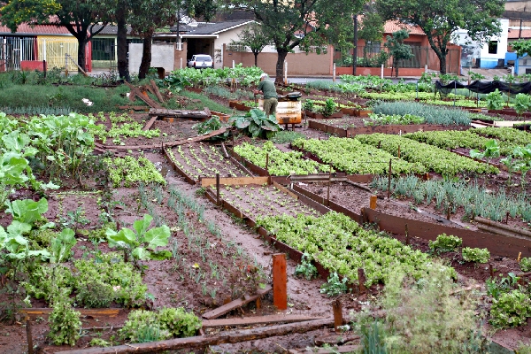 Foco do órgão é dar apoio a pequenas propriedades rurais | Gilberto Abelha/ Gazeta Do Povo