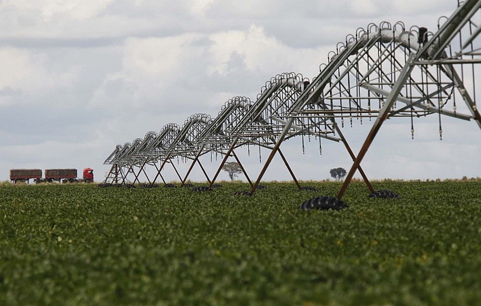 Lavoura de soja no município de Barreiras, Oeste da Bahia. O Nordeste, junto com o Norte, é a região brasileira considerada mais vulnerável à entrada de pragas vegetais durante a Copa do Mundo | Jonathan Campos / Gazeta do Povo