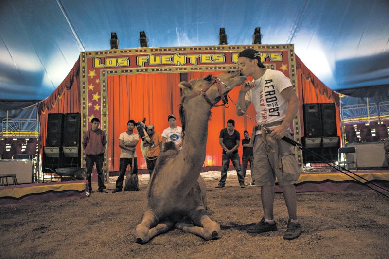 | adriana zehbrauskas para The New York Times