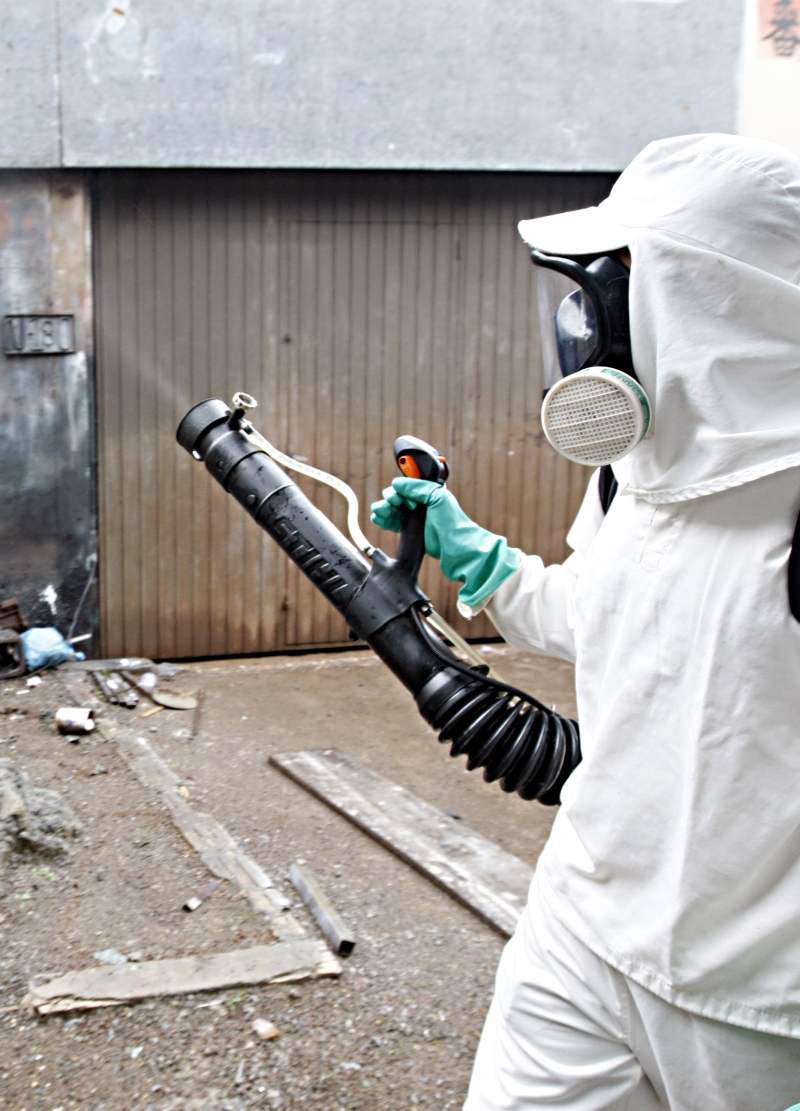 A aplicação de fumacê custa caro para as prefeituras | Christian Rizzi / Gazeta do Povo