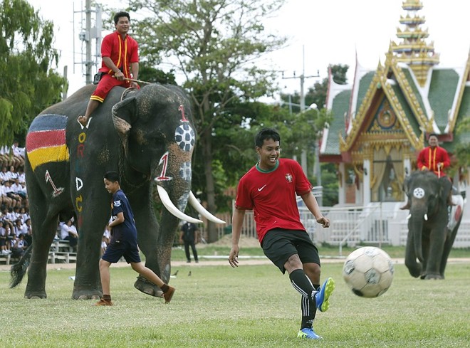 Garoto com a camisa de Portugal chuta a bola sob os olhares do elefante alemão e o do Japão | 