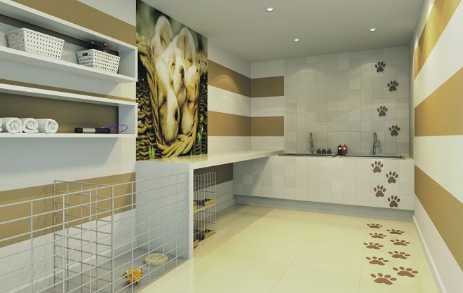 Pet care: ambiente próprio para a higienização dos animais de estimação |