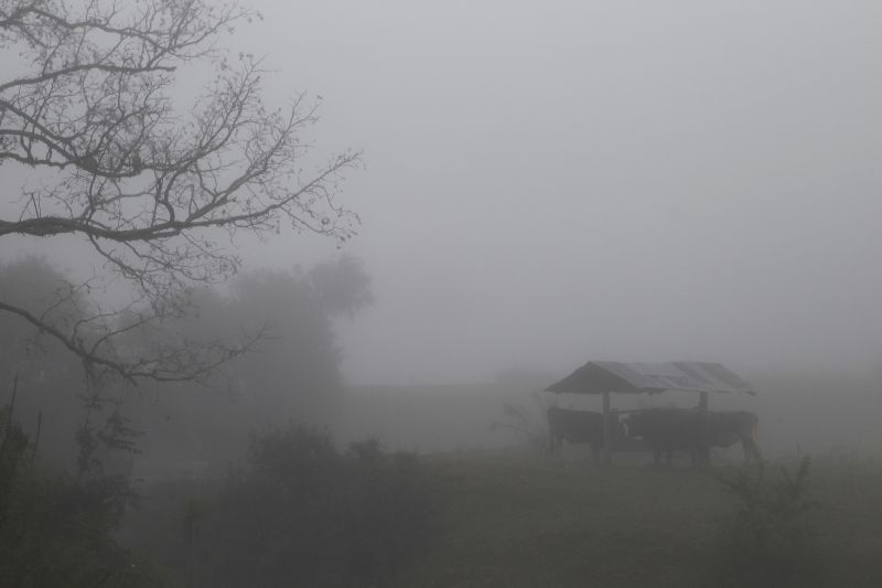 A neblina cobriu toda a região | Jonathan Campos / Agência de Notícias Gazeta do Povo
