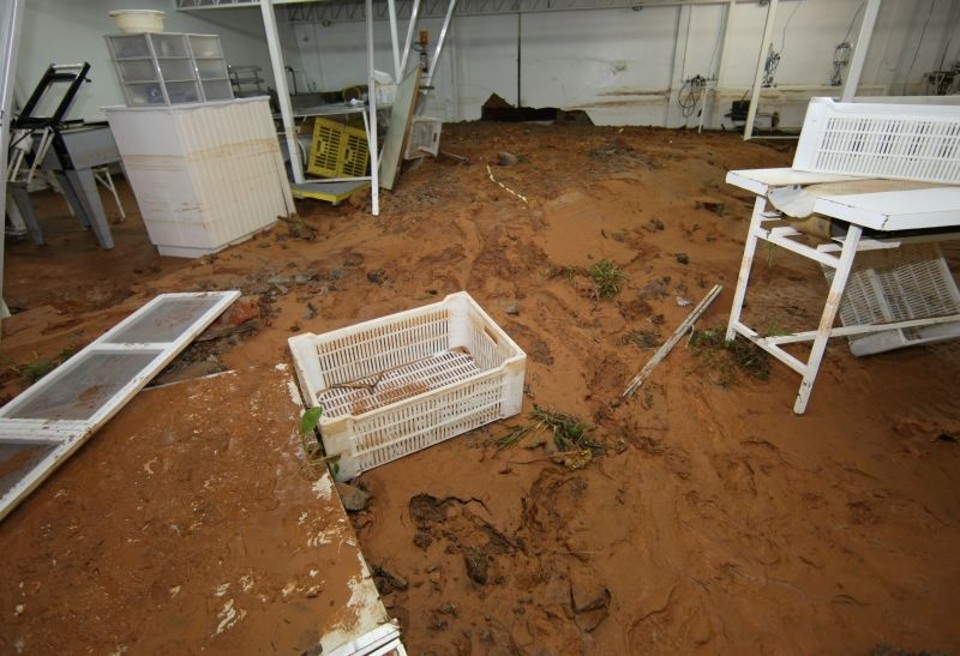 RMC: enxurrada deixa residências e escola embaixo d'água em São José dos Pinhais Fábrica de cosmético inundada em São José dos Pinhais. Moradores e comerciantes culpam o aeroporto pelos estragos | Aniele Nascimento/Agência de Notícias Gazeta do Povo