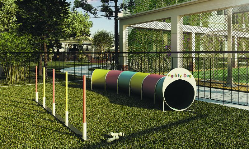 Espaço agility é destinado à atividade física dos animais | Divulgação
