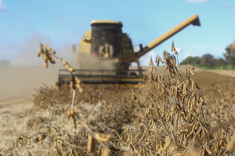 Safra brasileira de soja deve somar 86 milhões de toneladas, prevê a Conab. | Andra© Rodrigues / Gazeta Do Povo