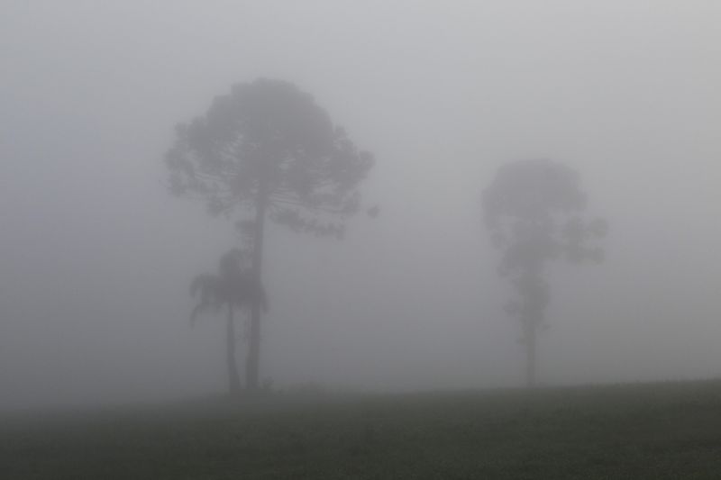 A visibilidade era pouca nas primeiras horas da manhã | Jonathan Campos / Agência de Notícias Gazeta do Povo
