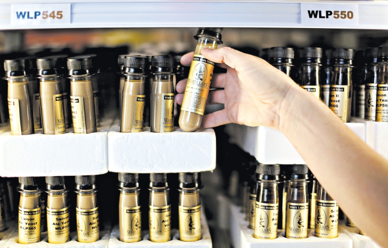 O sequen-ciamento genômico de levedos de cerveja poderá permitir que um dia pesquisado-res projetem e criem novos levedos sem recorrer a alterações genéticas | Sandy Huffaker / The New York Times