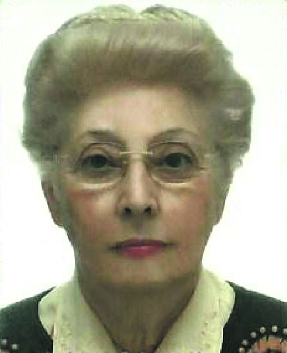 Entre pedidos de certidões | Arquivo da família