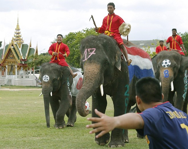 A região de Ayutthaya é conhecida pelos monumentos sagrados dos budistas. Sua capital, Ayutthaya, foi capitão do Reino de Sião | 