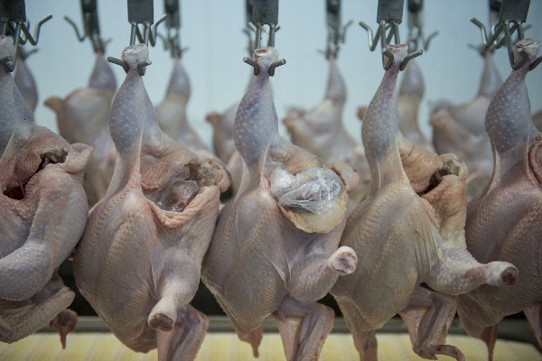 | Henry Milleo/gazeta Do Povo