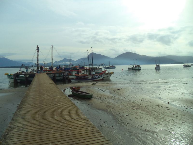 Pesca no Litoral coincide com a reprodução da espécie sete-barbas, a mais presente no Paraná | Paula Batista Fernandes / Gazeta do Povo