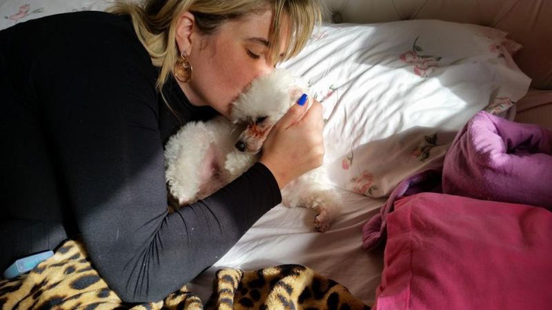 Após quatro meses, Angela se reencontrou com a poodle Laura | Reprodução/ Facebook