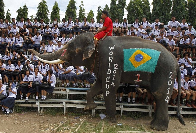 O Brasil teve seu representante de peso no norte da Tailândia | 