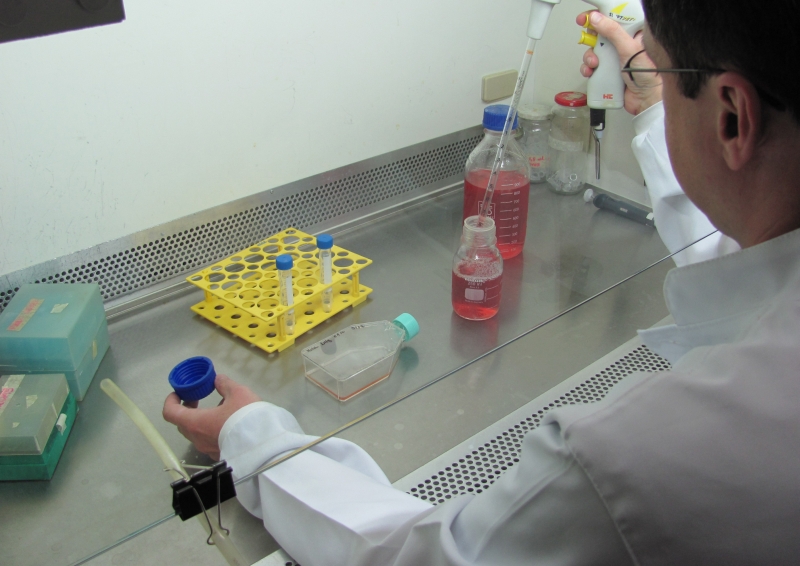 A Fundação Araucária garante que continua financiando 4,4 mil bolsas | Divulgação