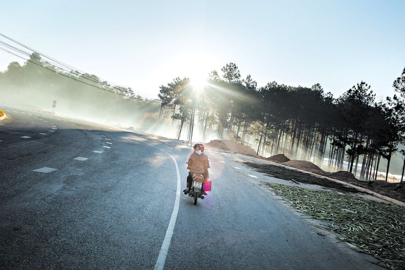 Vietnã confia a proteção de florestas pertencentes ao Estado a agricultores que vivem na região; província de Lam Dong | Aaron Joel Santos para The New York Times