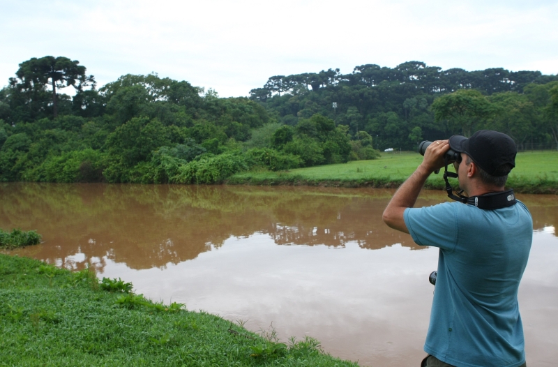 | Aniele Nascimento/ Gazeta do Povo