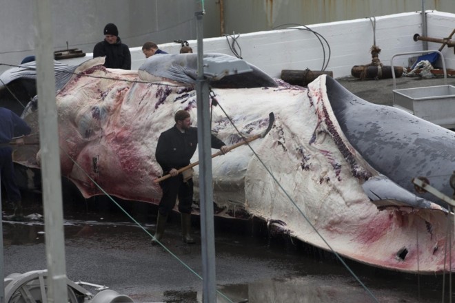 | Fotos: Reuters