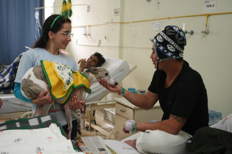 Estrelas da ONG Amigo Bicho mudaram a rotina dos doentes em tratamento no Cajuru ontem | Aniele Nascimento/Gazeta do Povo