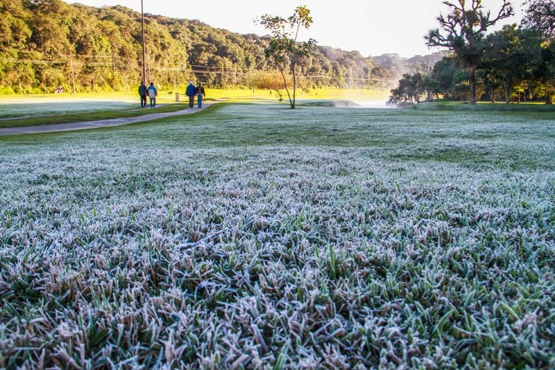 Frio intenso causou geada no Parque Tingui, no início de julho, em Curitiba | Daniel Castellano/Agência de Notícias Gazeta do Povo
