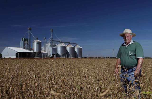 Para o produtor Roque Sartori, de Palotina, crédito farto exige cautela em época de juros maiores | Jonathan Campos/ Gazeta Do Povo