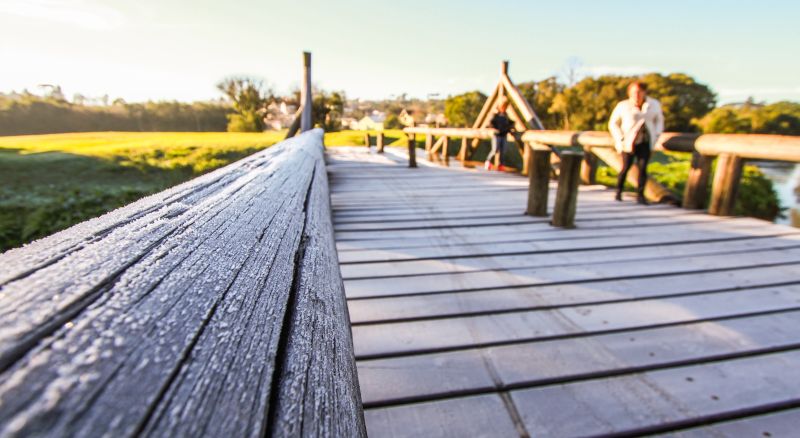 | Daniel Castellano/ Gazeta do Povo