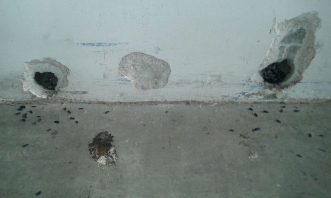 Foto retirada nesta terça-feira (23) mostra problemas na Central de Abastecimento, no Capão da Imbuia |