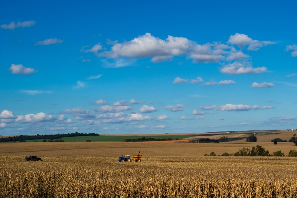 Durante a expedição, que durou cerca de 30 dias e percorreu onze regiões do Paraná, foi possível ver a pujança econômica da agricultura do estado | Brunno Covello / Gazeta do Povo