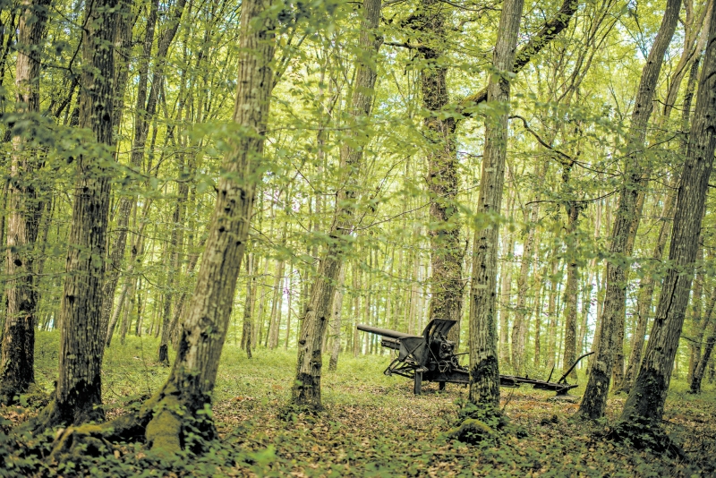 RESQUÍCIO Peça de campanha no bosque de Belleau, onde fuzileiros navais dos EUA atacaram alemães entrincheirados até vencerem a batalha | Tomas Munita para The New York Times