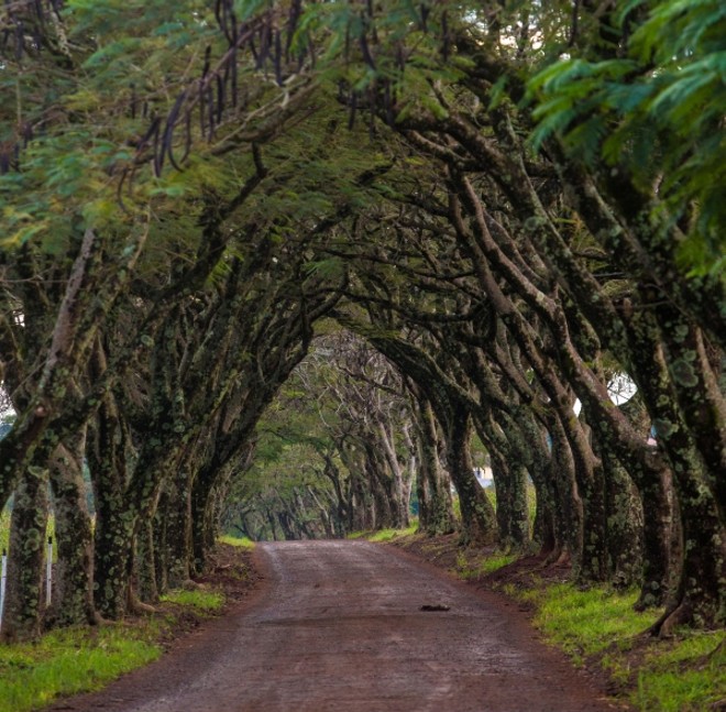 Por todo o estado, cenários que encantam | 