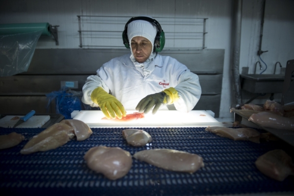 Indústria espera que segundo semestre tenha demanda forte e sustente preços | Henry Milleo/gazeta Do Povo