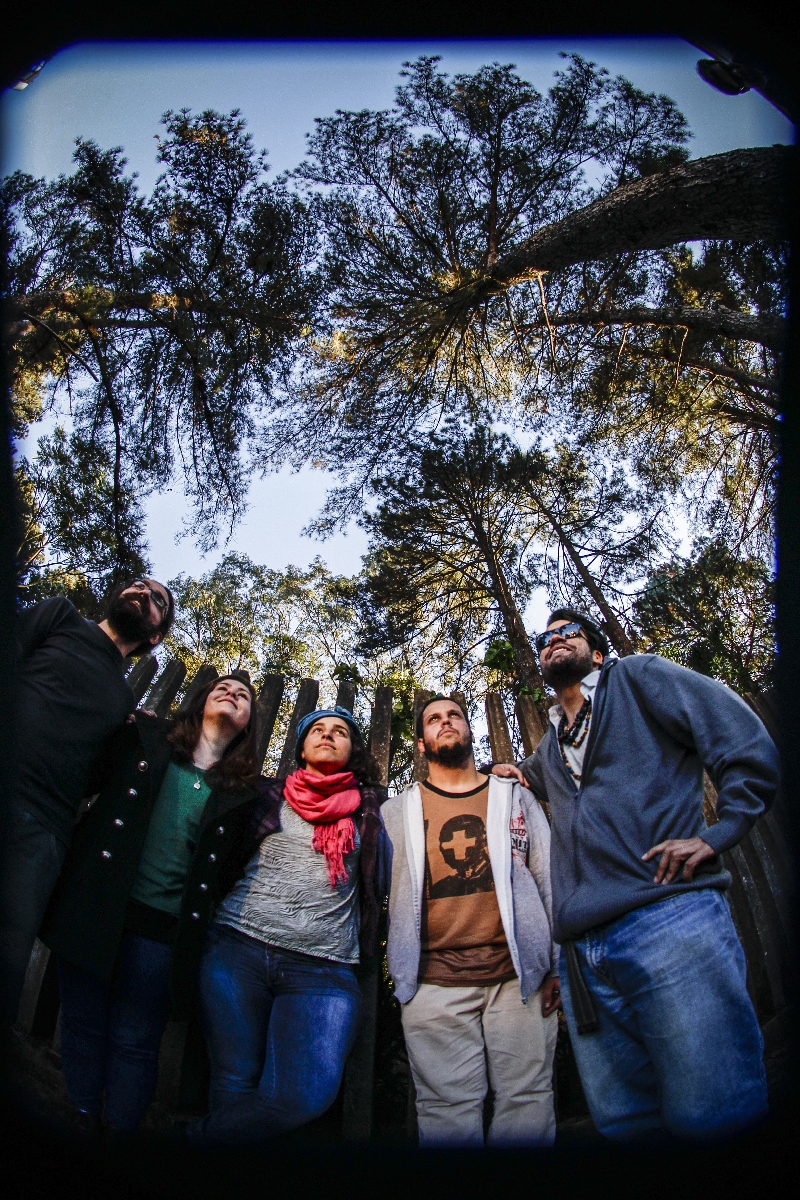A partir da esquerda: Daniel Amaral, o cara das cordas; Giovana Luersen, vocalista e autora da letra; a flautista Fernanda Fausto; o baixista Davi Dornellas e o violonista Asaph Eleutério. Também fazem parte do grupo Karla Dibia (clarinete) e Gabrelly Nichele (percussão) | Daniel Castellano/ Gazeta do Povo