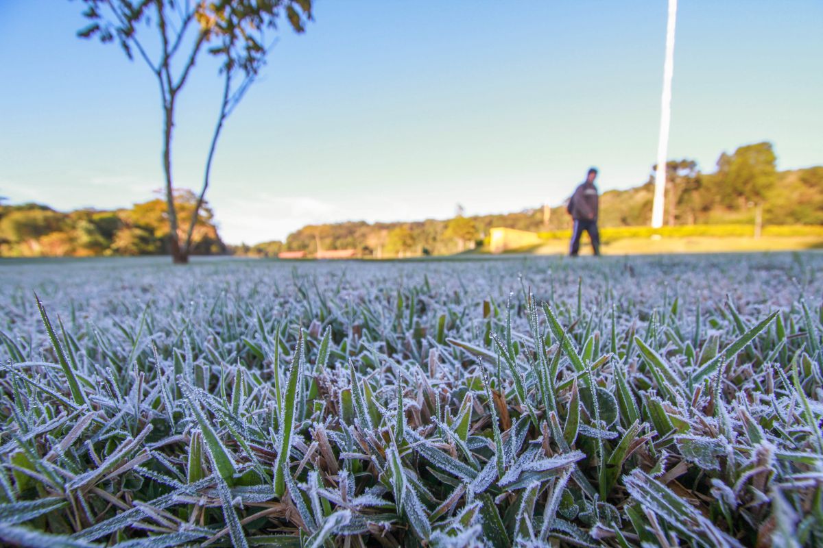 | Antônio More / Agência de Notícias Gazeta do Povo