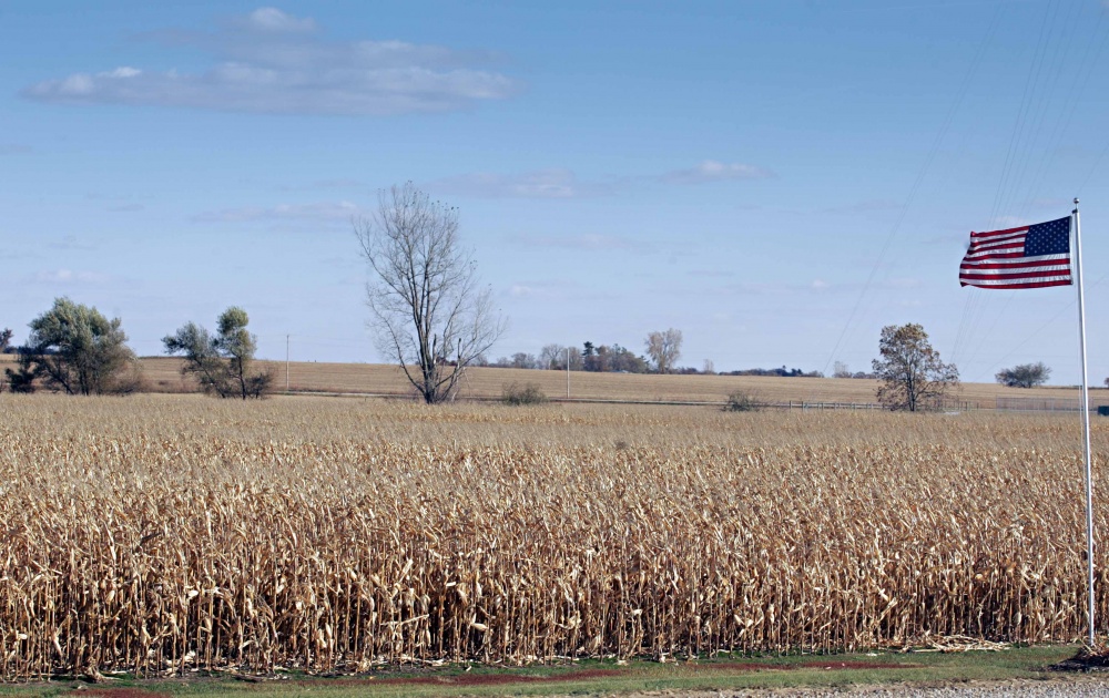 Milho da safra passada permanece estocado nos armazéns, fato que tem pressionado as cotações do cereal em Chicago. | Christian Rizzi / Gazeta Do Povo