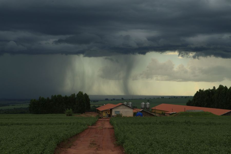Semana começa com pancadas generalizadas em estados do Centro-Oeste e Sudeste, e clima aberto no Sul. | Foto: Antonio Costa/gazeta Do Povo